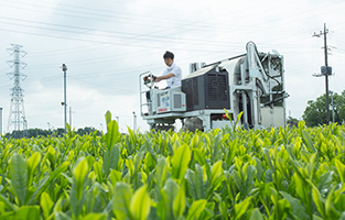 茶師 池谷英樹01