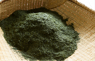 茶師 池谷英樹03